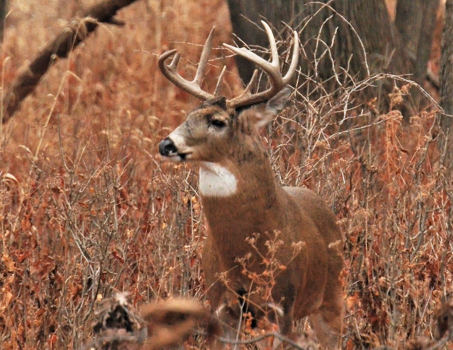 Washburn Outdoors